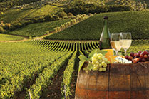 Tour cantine veneto
