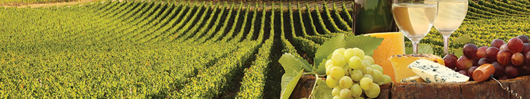 Tour cantine veneto