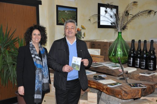Noleggio con conducente