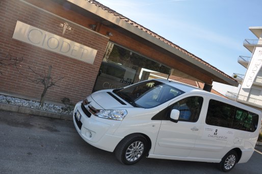 Noleggio con conducente