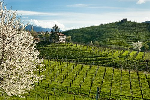 Tour cantine veneto